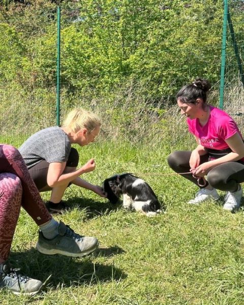 Après-midi découverte autour de l’éducation canine à Appoigny