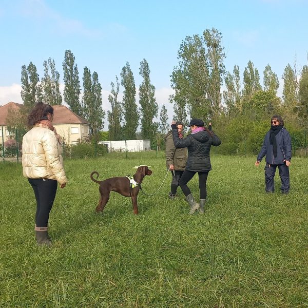 Après-midi découverte autour de l’éducation canine à Appoigny