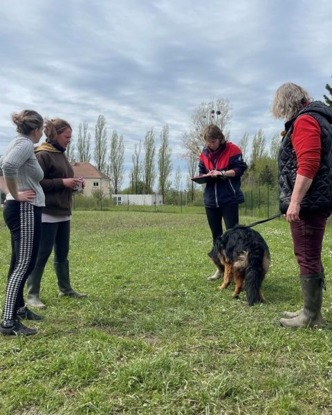 Après-midi découverte autour de l’éducation canine à Appoigny