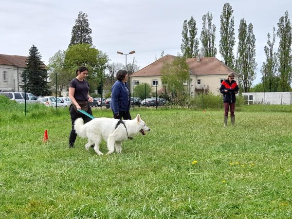 Après-midi découverte autour de l’éducation canine à Appoigny