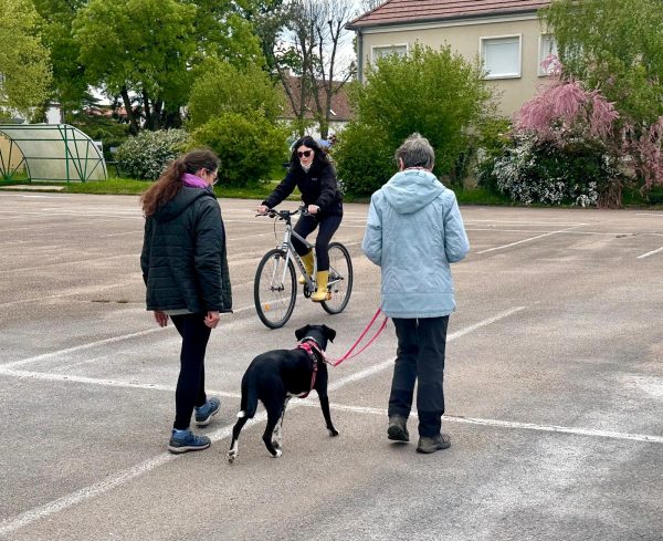 Après-midi découverte autour de l’éducation canine à Appoigny