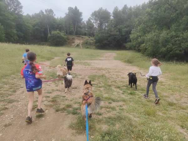 Week-end chiens et enfants à Pernes-les-Fontaines