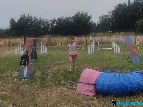 Week-end chiens et enfants à Pernes-les-Fontaines