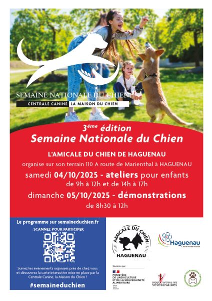 Journée portes ouvertes et ateliers pour enfants autour du chien à Haguenau