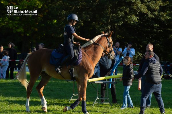 Festival AniMesnil au Blanc-Mesnil