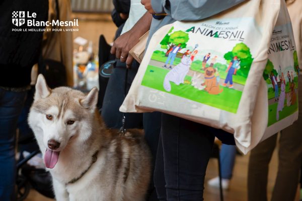 Festival AniMesnil au Blanc-Mesnil