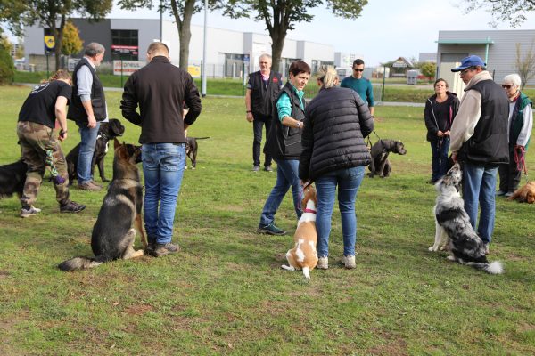Journée portes ouvertes et ateliers pour enfants autour du chien à Haguenau