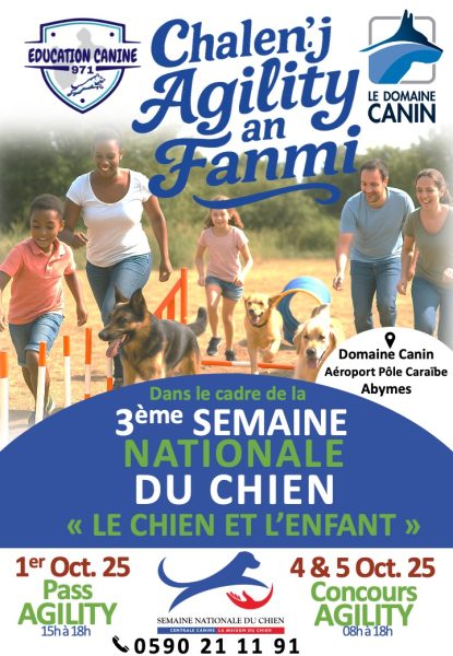 Concours d’agility en famille aux Abymes