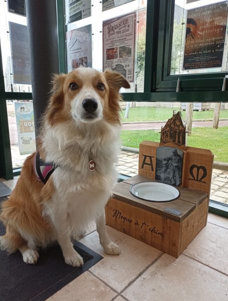 Les chiens à l’honneur à l’office du Tourisme de la Baie du Cotentin
