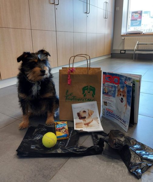 Les chiens à l’honneur à l’office du Tourisme de Berck-sur-Mer
