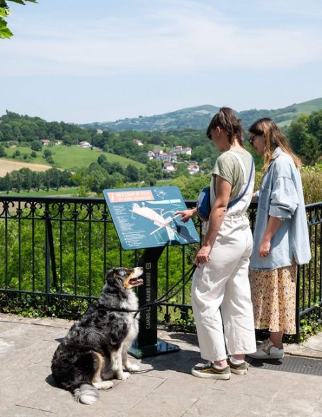 Les chiens à l’honneur à l’office du Tourisme de Cambo-les-Bains