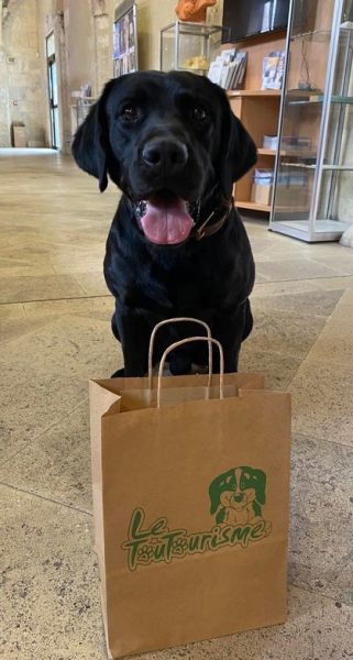 Les chiens à l’honneur à l’office du Tourisme de Laon