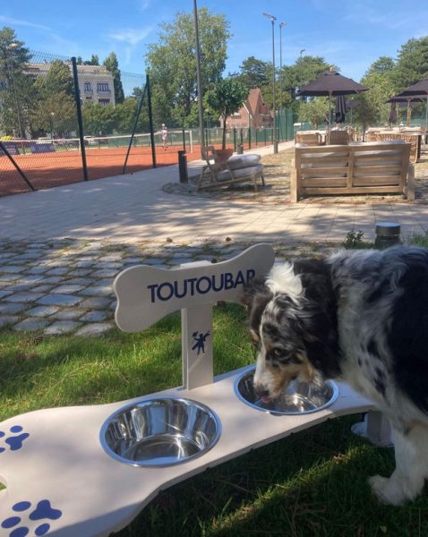 Les chiens à l’honneur à l’Office de Tourisme du Touquet