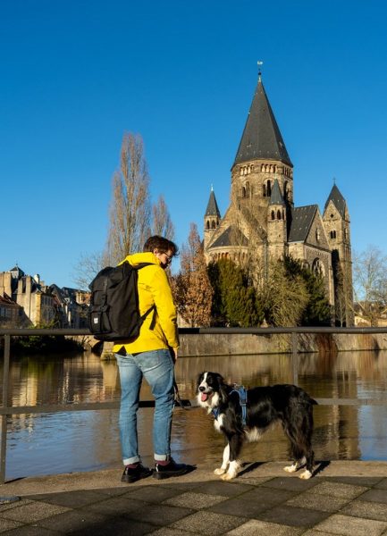 Les chiens à l’honneur à l’Office de Tourisme de Metz
