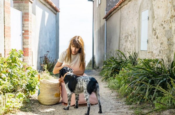 Les chiens à l’honneur à l’office du Tourisme de l’Île de Noirmoutier