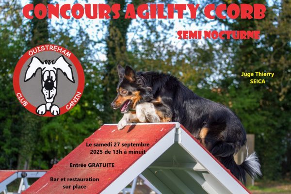 Concours d’agility à Ouistreham