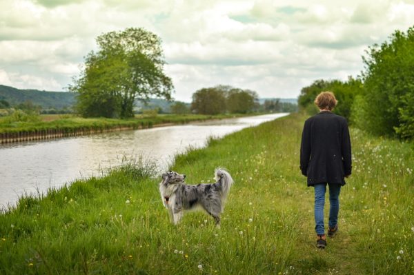 Les chiens à l’honneur à l’office du Tourisme Sud-Ardennes