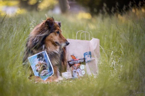 Les chiens à l’honneur à l’Office de Tourisme de Thionville
