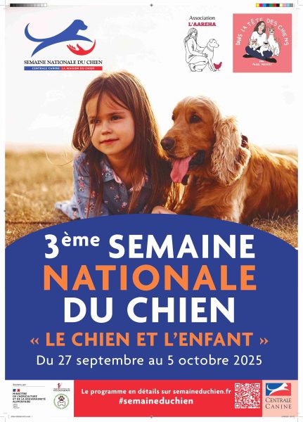 Atelier en visioconférence pour interactions sécurisées entre enfants et chiens à Chailland