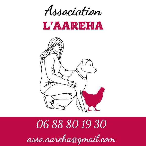 Balade ludique et canine à Saint-Valérien