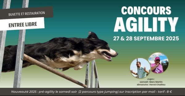 Concours d’agility à Péronnas