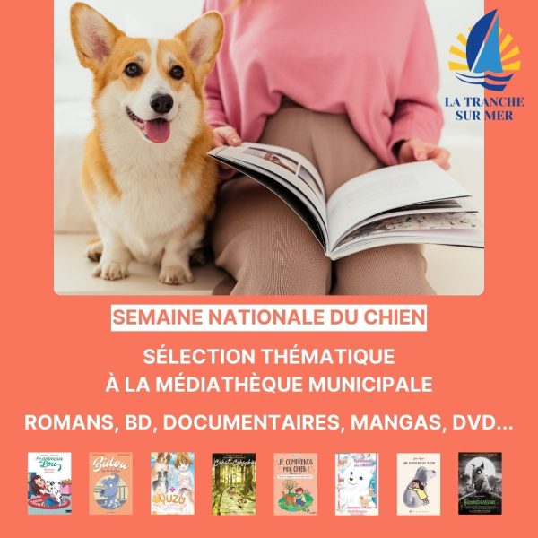 Découverte culturelle et canine à La Tranche-sur-Mer