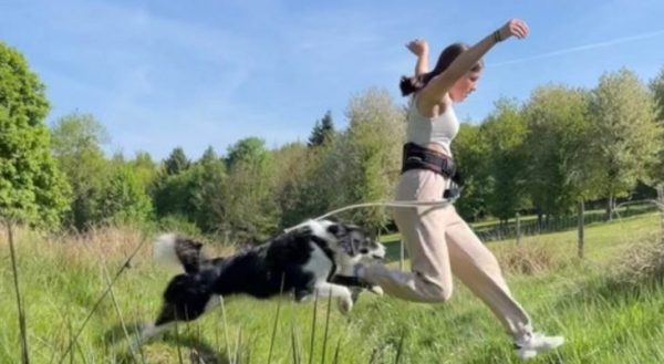 Découverte cani-cross à Saint-Gervais-d’Auvergne