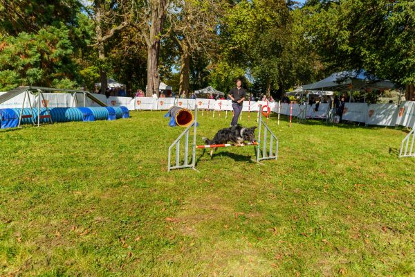 Festival « Tout pour mon toutou » à Châtenay-Malabry