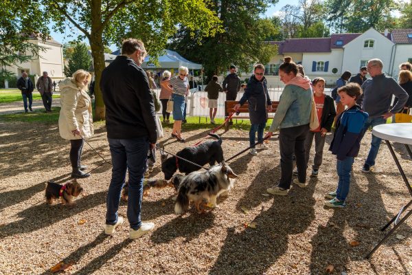 Festival « Tout pour mon toutou » à Châtenay-Malabry