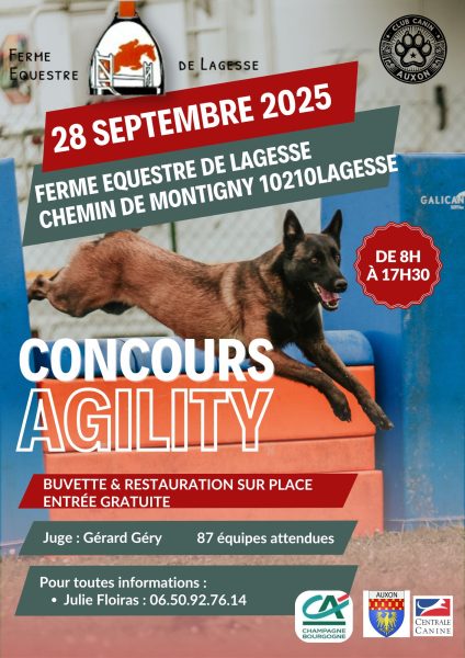 Concours d’agility à Lagesse