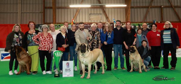 Exposition de championnat et nationale d’élevage à Cérilly