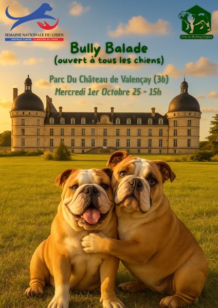 Balade canine à Valençay