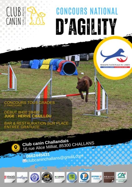 Concours national d’agility à Challans