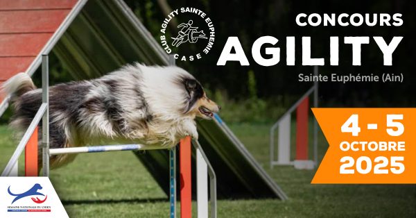 Concours d’agility à Sainte-Euphémie
