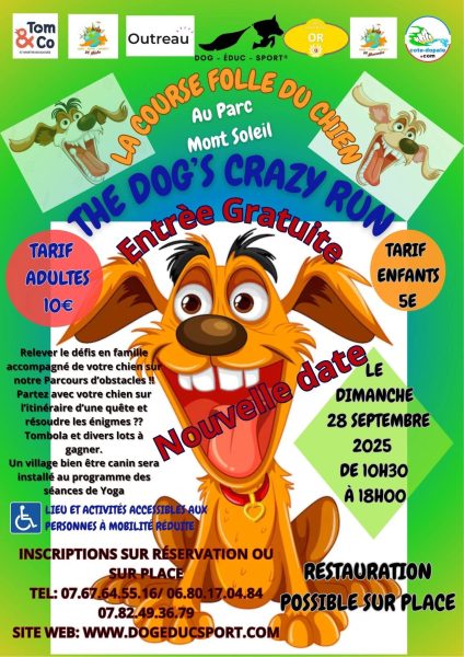 Course canine à Outreau