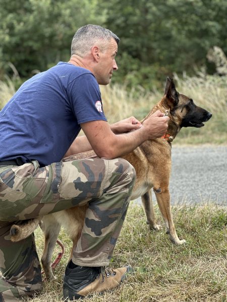Rencontre avec les équipes cynotechniques de recherche et sauvetage à Gouzens