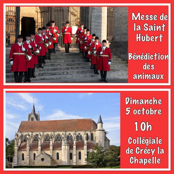 Bénédiction des animaux à Crécy-la-Chapelle