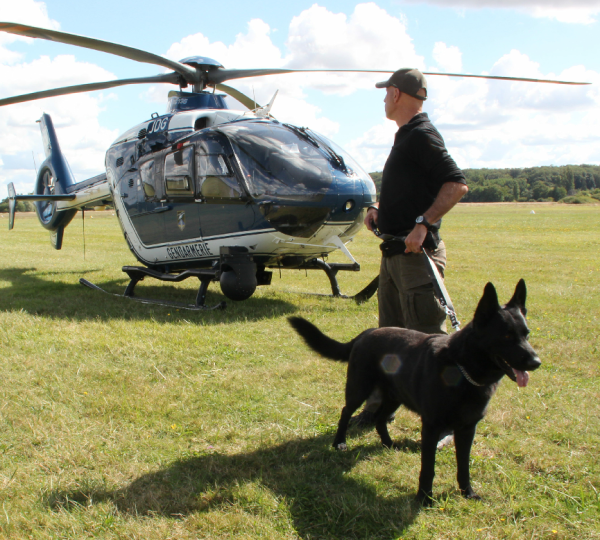 Démonstration des chiens de la gendarmerie au profit des écoliers à Orléans