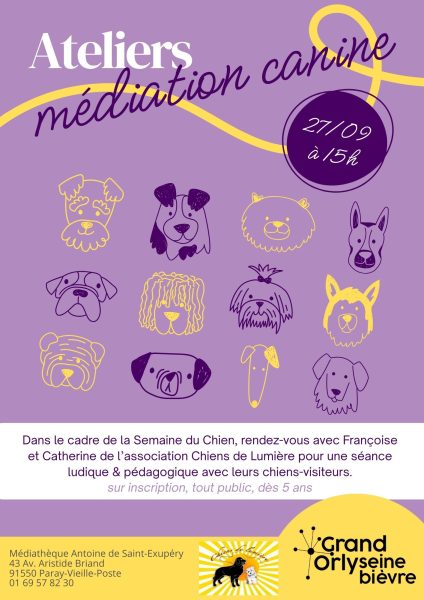 Ateliers de médiation canine à Juvisy-sur-Orge