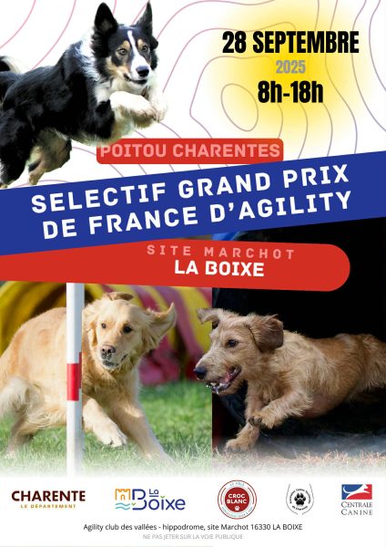 Concours d’agility à La Boixe