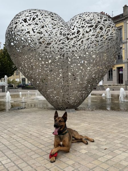 Les chiens à l’honneur à l’office de Troyes La Champagne Tourisme