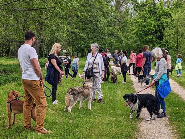 Balade canine à Cléry-le-Petit