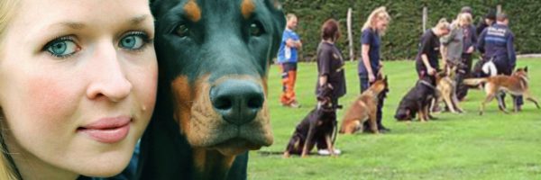 Ateliers ludiques à Donneville