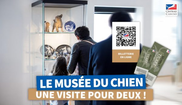 Visite au Musée du Chien à Aubervilliers