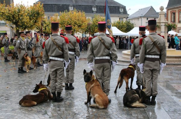 Cérémonie en l’honneur des Chiens civils et militaires à Suippes