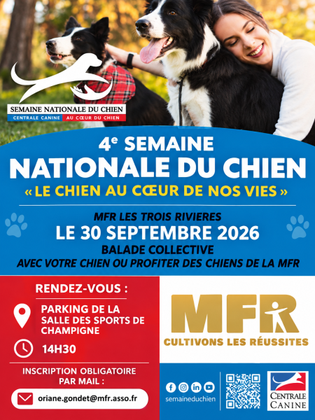 Découverte d&rsquo;activités canines à Champigné