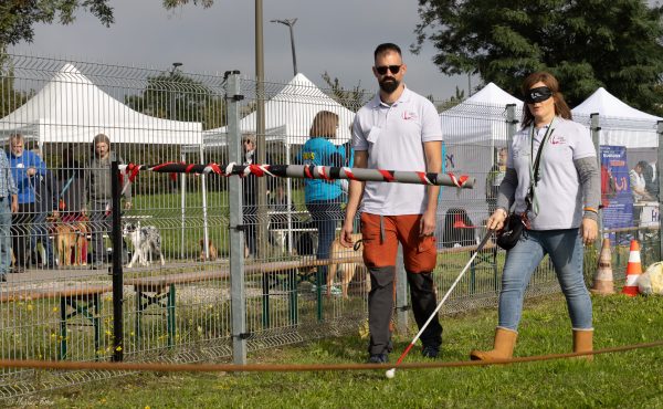 Journée des chiens guides d’aveugles à Cernay