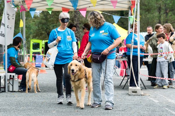 Journée portes ouvertes à l&rsquo;école du chien guide de Mérignac
