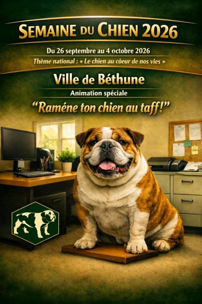 Pet at work à Béthune