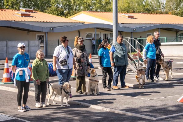 Journée des chiens guides d’aveugles à Coubert